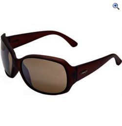 Sinner Amos Sunglasses (Brown/Brown Gradient) - Colour: Matte Brown